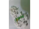 Stift semanatoare Nodet tf 0745050461